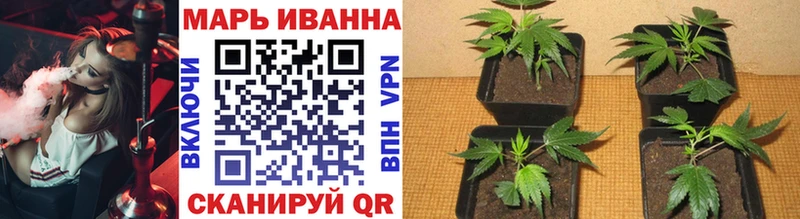 МАРИХУАНА индика Новоржев